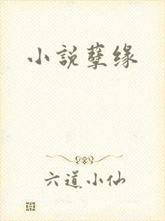 小说孽缘