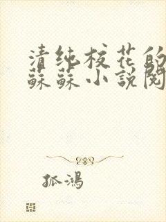 清纯校花的日常苏苏小说阅读全文