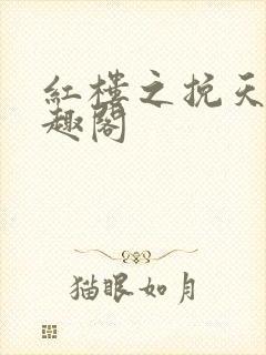 红楼之挽天倾笔趣阁