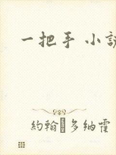 一把手 小说