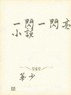 一闪一闪亮星星小说