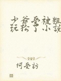 少爷受被粗汉H玩松了小说