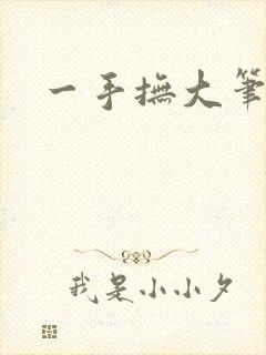 一手抚大笔趣阁