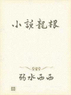 小说龙根