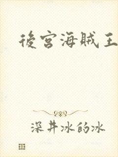 后宫海贼王