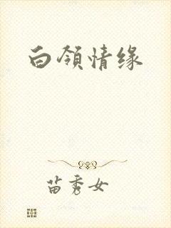 白领情缘