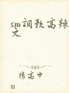 sm调教高辣h文