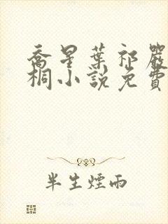 乔星叶祁严梁雨桐小说免费阅读