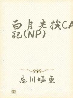 白月光挨CAO记(NP)