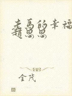 老马的幸福生活赵思思