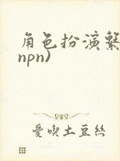 角色扮演系统(npn)