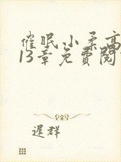 催眠小柔高达第13章免费阅读