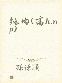 纯肉(高h.np)