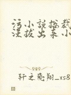 污小说总裁整夜没拔出来小说在线阅读