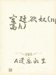 宫廷欲奴(np高h)
