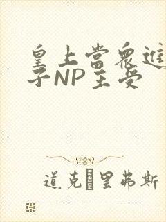 皇上当众进入太子NP主受