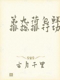 第九荷包鲜辣肉排总排行功能介绍