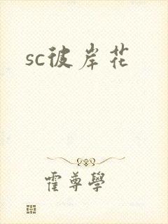 sc彼岸花