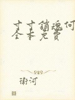 寸寸销魂何生祥全本免费