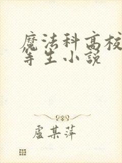 魔法科高校的劣等生小说