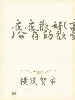 夜夜欢好(高h)公翁的欢爱h