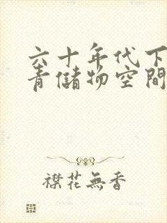 六十年代下乡知青储物空间