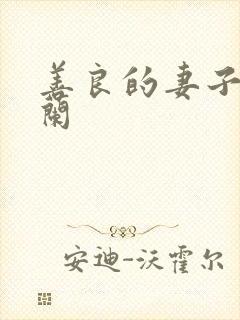 善良的妻子王晓兰