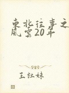 东北往事之黑道风云20年