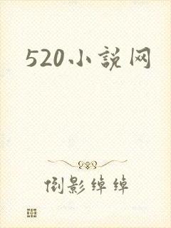 520小说网