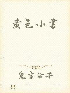 黄色小书