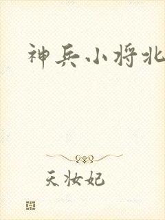 神兵小将北冥雪