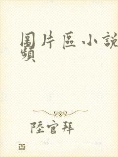 图片区小说区视频