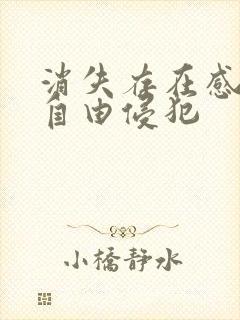 消失存在感消失自由侵犯