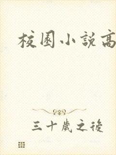 校园小说高h