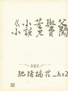 《小芳与父亲》小说免费阅读