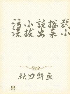 污小说总裁整夜没拔出来小说在线阅读