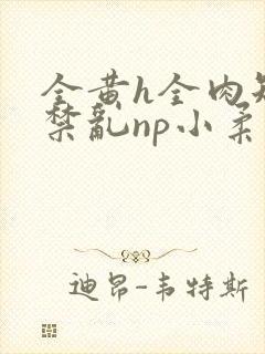 全黄h全肉短篇禁乱np小柔