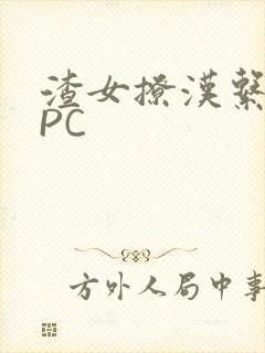 渣女撩汉系统NPC