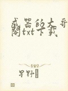 成器的大哥笔趣阁txt下载