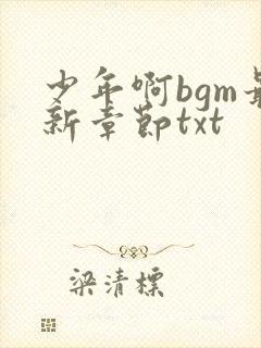 少年啊bgm最新章节txt
