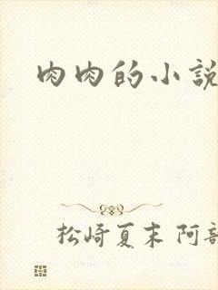 肉肉的小说