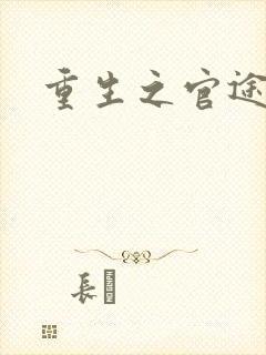 重生之官途辉煌