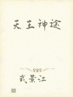 天王神途