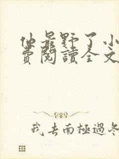 他最野了小说免费阅读全文