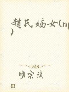 赵氏嫡女(np)