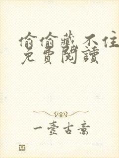 偷偷藏不住小说免费阅读