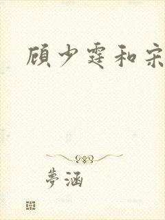 顾少霆和宋斯曼