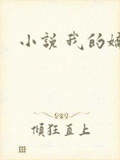 小说 我的娇妻