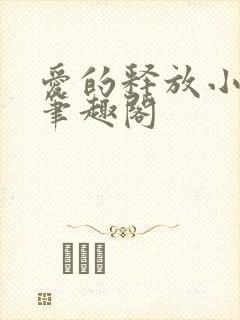 爱的释放小说 笔趣阁