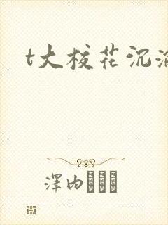 t大校花沉沦